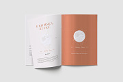 Wedding Brand Guideline Template, a Brochure Template by TMint Play (Thumbnail 4 of 8)