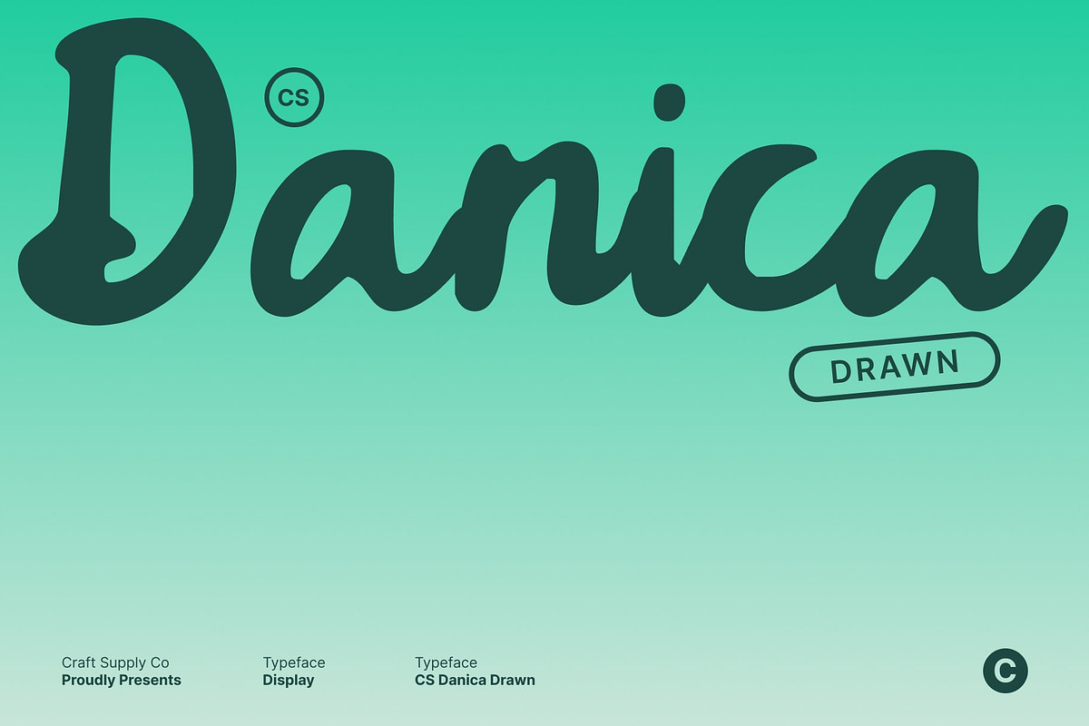 CS Danica Drawn, a Script Font by Craft Supply Co. (Photo 1 of 8)