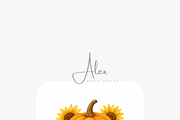 Autumn Pumpkin Clipart Set, a Decorative Illustration by Pati Charm Studio (Thumbnail 6 of 8)