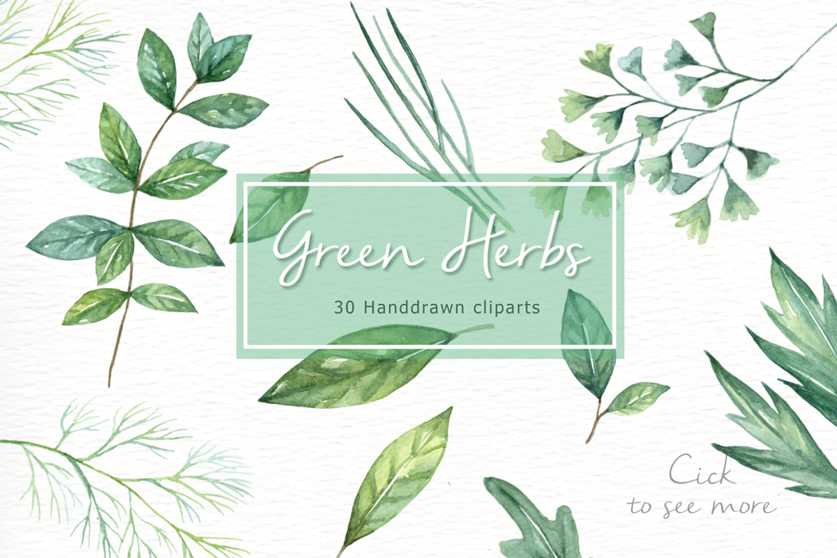 Green Herbs Watercolor clipart, a Food Illustration by everysunsun (Photo 4 of 5)
