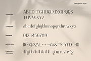 Callingstone Modern Sans Serif Font, a Sans Serif Font by Heinzel Std (Thumbnail 8 of 9)