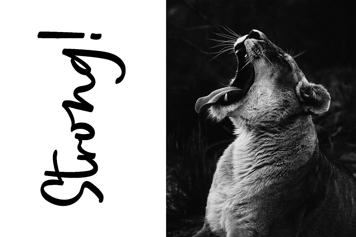 Every Style - NEW!! handwritten font, a Handwritten Font by alphArtype (Photo 13 of 15)