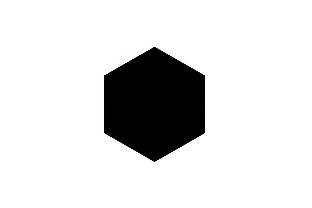 Minimal Hexagon Geometric Logo, an Icon by hafijul (Photo 7 of 10)