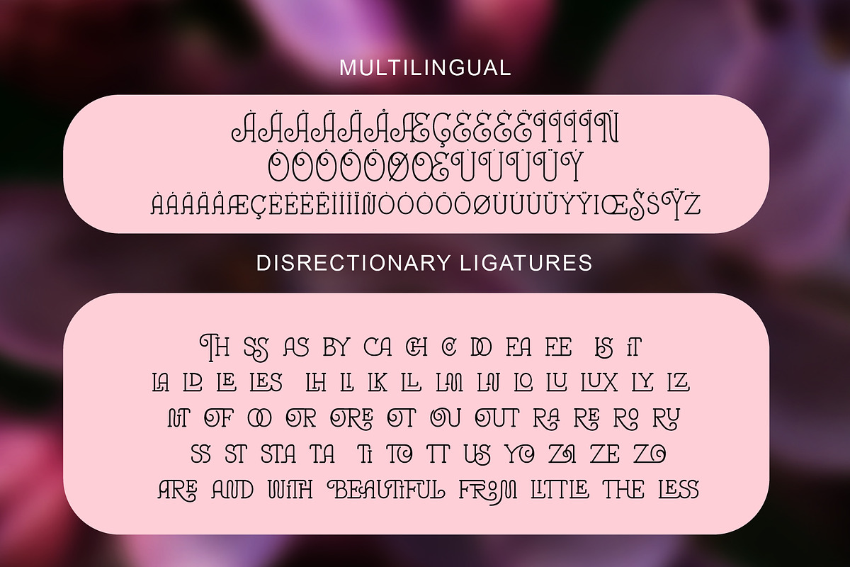 Alurea | Ligature Feminine Font, a Serif Font by StoricType (Photo 3 of 17)