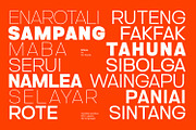Ertinas, a Sans Serif Font by din-studio.com (Thumbnail 3 of 20)