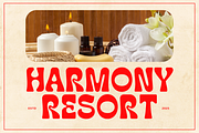 Young Romance - Retro Display Font, a Sans Serif Font by Sronstudio (Thumbnail 11 of 13)