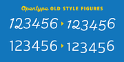American Auto, a Sans Serif Font by Miller Type Foundry (Thumbnail 17 of 20)