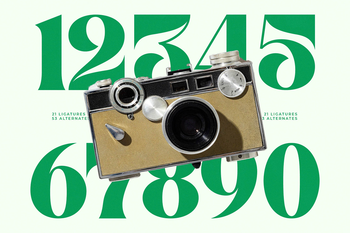 Master Gedon Modern Bold Serif, a Serif Font by timelesstype.co (Photo 8 of 19)