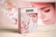 Sakura Rose Gold Lightroom Presets, a Preset Add-On by AAA Presets (Thumbnail 2 of 23)