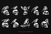 10 Bundle Dark Art Sparrow Bird, an Illustration by Morspective (Thumbnail 6 of 7)