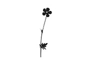 Botanical bundle - svg, png, a Decorative Illustration by Watercolor_Vector Graphic (Thumbnail 9 of 26)