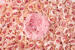 Digital Backdrop Newborn Photography