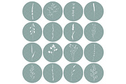 Botanical Clip art Floral vector, an Illustration by DigitalArsiart (Thumbnail 4 of 6)