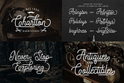 The Premium Creation Font Bundle, a Serif Font by Megatype (Thumbnail 16 of 56)