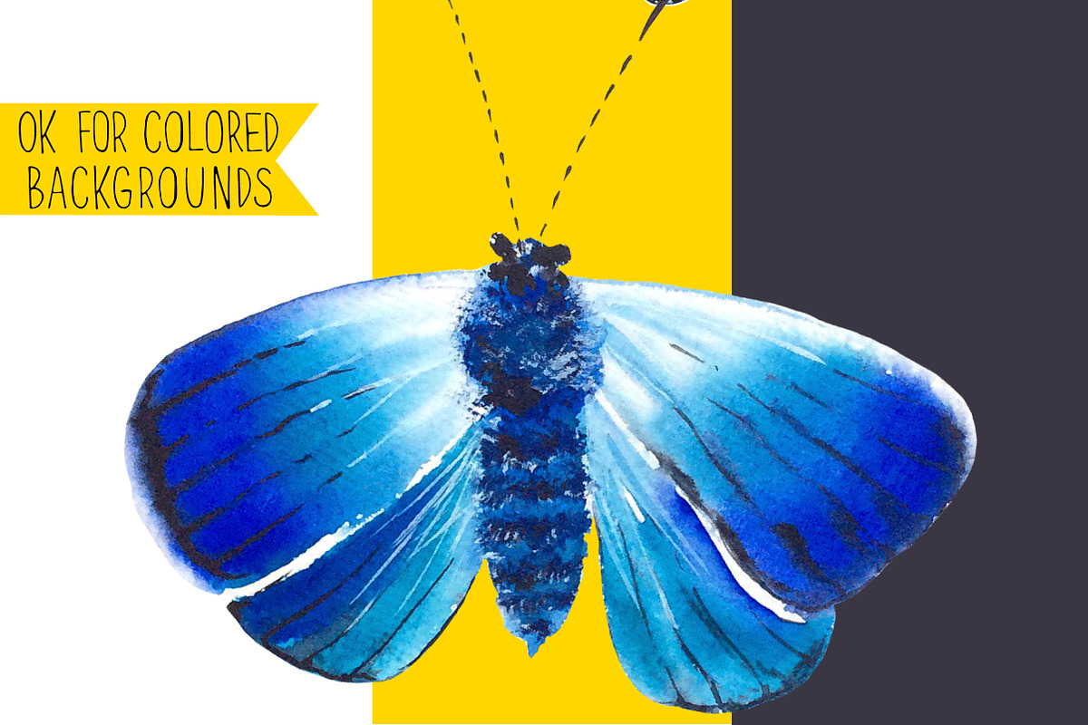 Butterflies Watercolor clipart, an Object Graphic by Olga Bonitas (Photo 7 of 8)