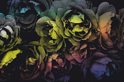 Elegant Floral Photoshop Brushes, a Brush Add-On by Milka (Thumbnail 6 of 10)