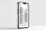 The Milvera Awesome (32 Fonts), a Serif Font by IM Studio (Thumbnail 8 of 13)