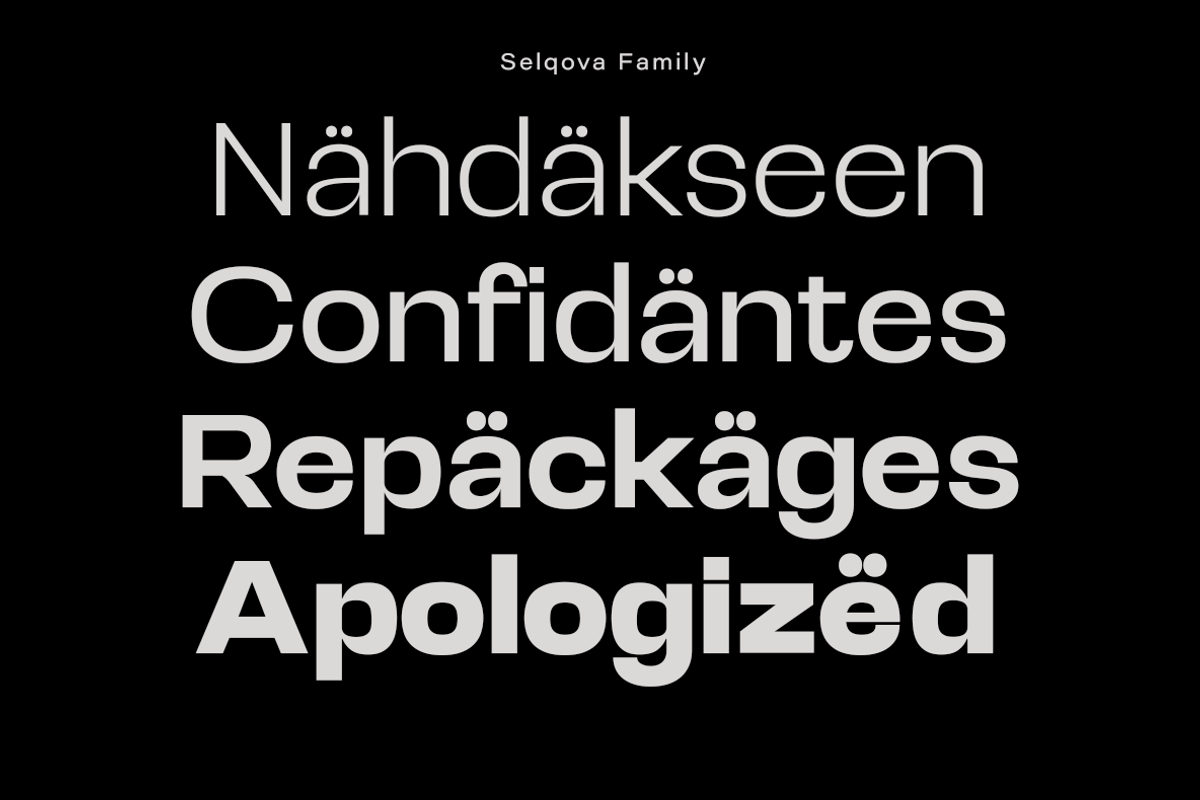 Selqova | Sans serif family, a Sans Serif Font by InkwellTypeCo (Photo 2 of 18)