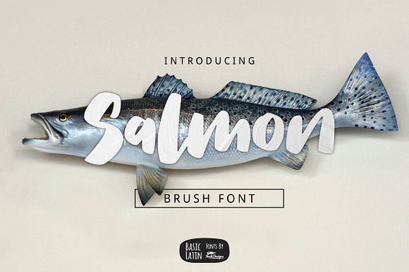 Salmon Brush Font preview 6