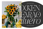 Aviluero Rasnora | 27 Font Files, a Serif Font by IM Studio (Thumbnail 3 of 13)
