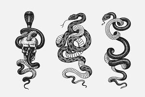 Drawing Snakes. Mystic Occult Design