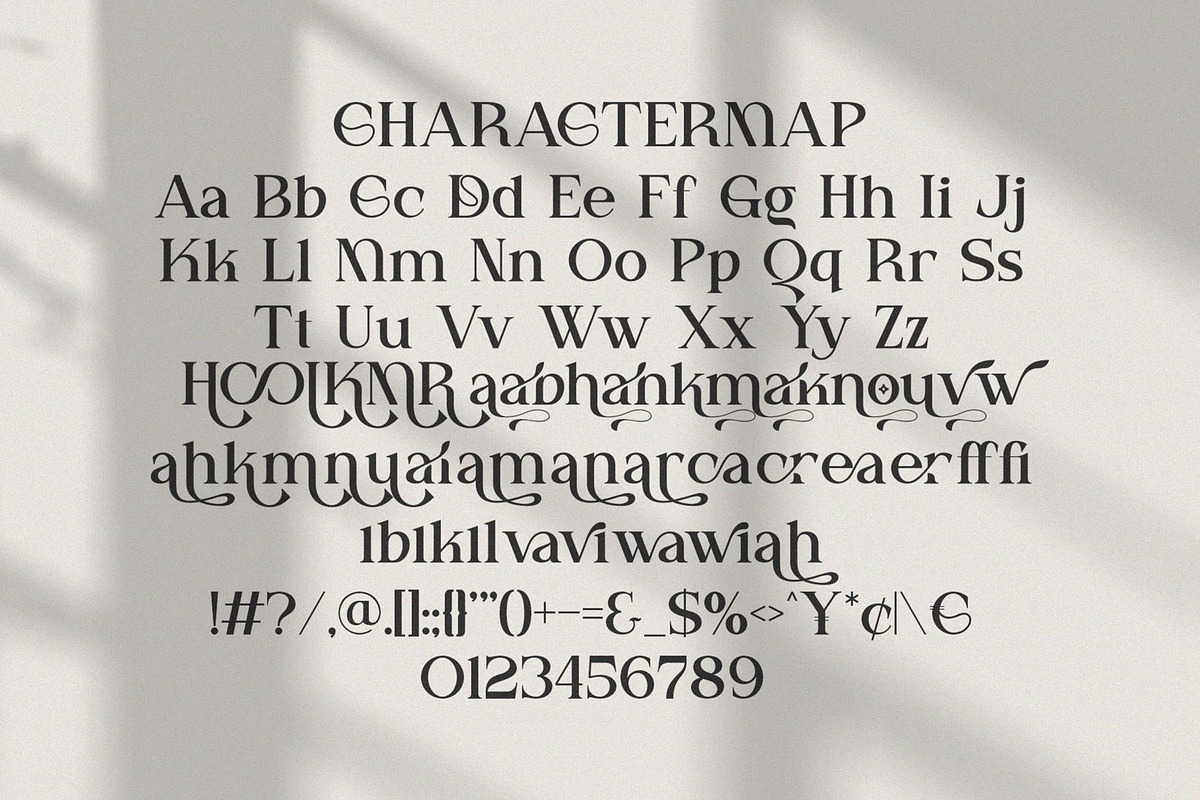 Makova || Modern Minimalist Serif Fo, a Serif Font by Ermedia Studio (Photo 10 of 10)