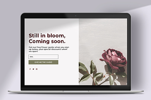 Bloom Coming Soon Page DIVI Layout