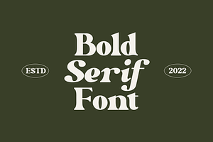 Perfect Colony // Bold Serif Font