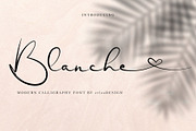 The Font Bundle 12 Modern Fonts, a Handwritten Font by erlosDESIGN (Thumbnail 5 of 13)