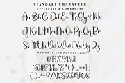 Bushing, a Handwritten Font by FreshTypeINK (Thumbnail 3 of 8)
