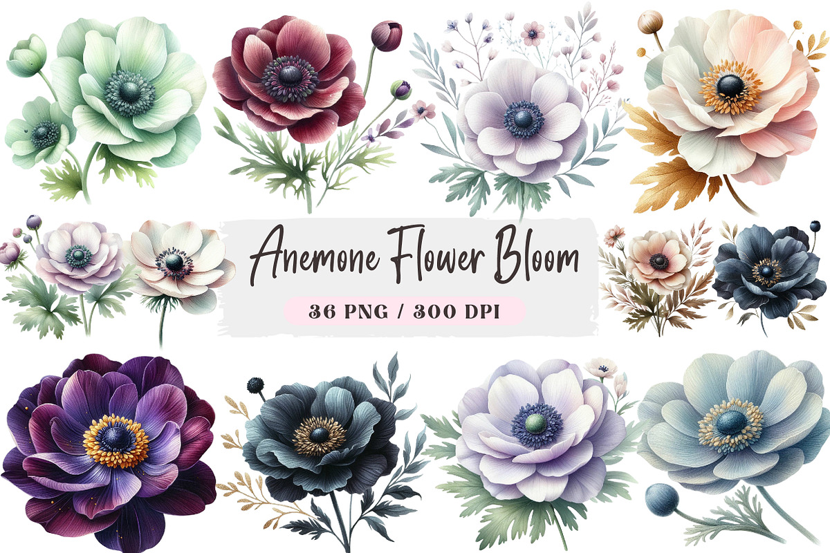 Anemone Flower Bloom Clipart, an Illustration by DreamArtGraphic (Photo 1 of 4)