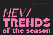 Rochas Font Family, a Sans Serif Font by Larin Type Co. (Thumbnail 12 of 14)