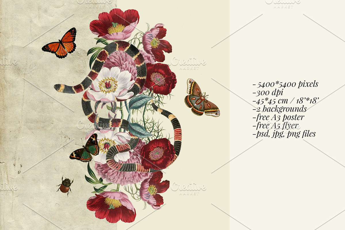 Snakes n' flowers collage+ freebies, an Illustration by Negative Space (Photo 3 of 5)
