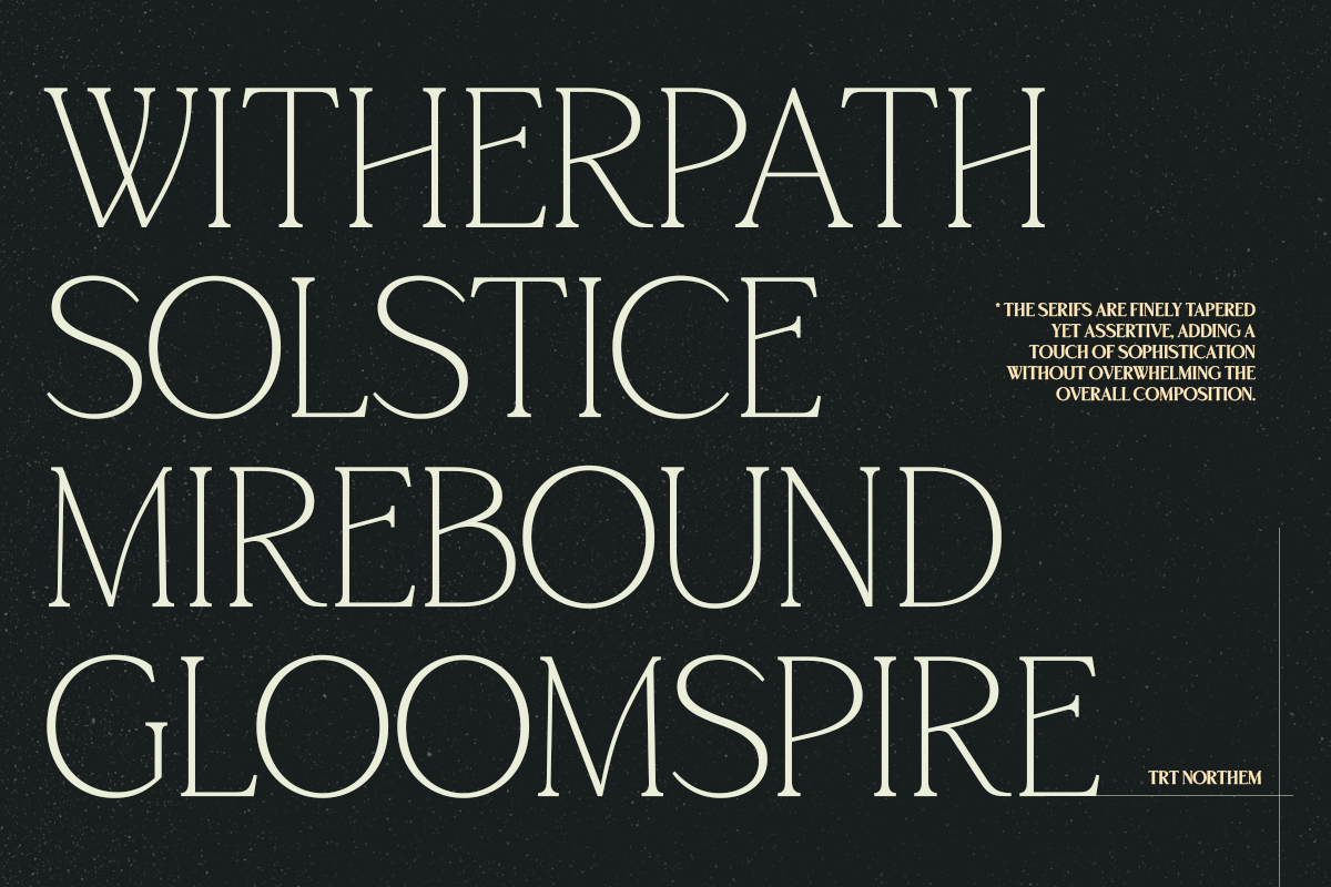 TRT Northem – Elegant Serif Font, a Serif Font by truetype (Photo 3 of 15)