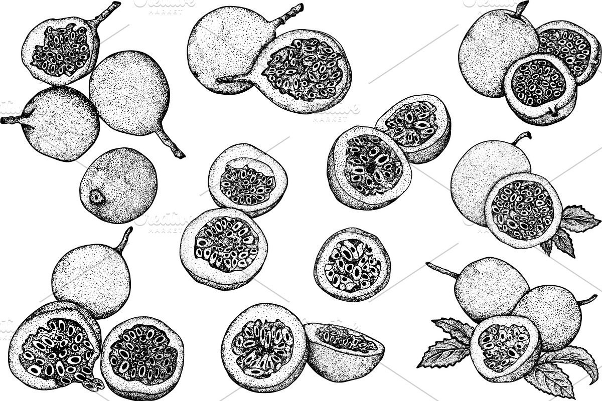 Hand drawn passion fruits, a Food Illustration by Elena Mykhailenko (Photo 3 of 8)