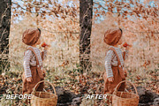 15 Fall Lightroom Presets, a Preset Add-On by TheWayfarerShoppe (Thumbnail 5 of 8)