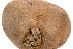 Whole ripe kiwi on isolated background, close up, a Food & Drink Photo by ndanko