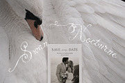 Swan Nocturne Editorial Mockups, an Advertising Mockup by Muse Mockups (Thumbnail 12 of 12)