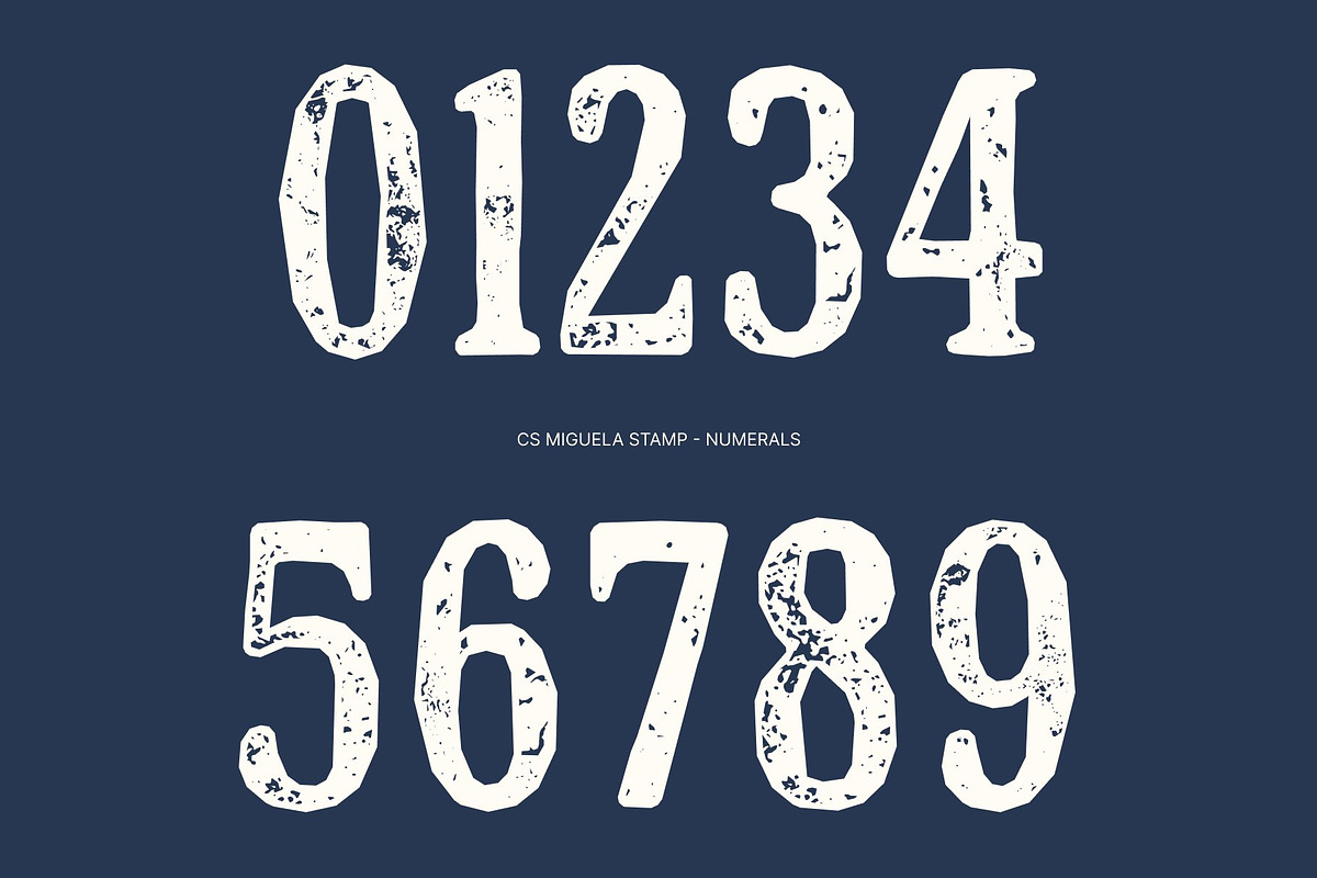 CS Miguela Stamp, a Serif Font by Craft Supply Co. (Photo 5 of 8)