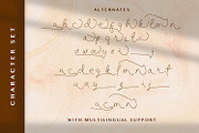 Allise - Signature Script Font, a Script Font by StringLabs (Thumbnail 9 of 10)