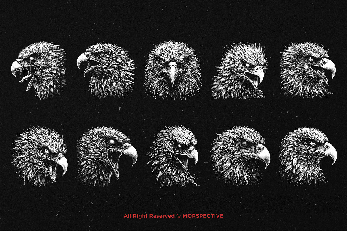 10 Bundle Dark Art Eagle Bird Head, an Illustration by Morspective (Photo 6 of 7)