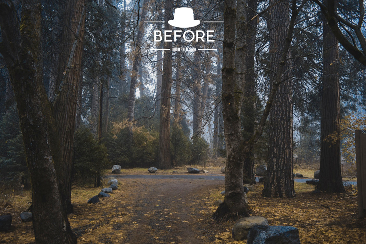 Moody Lightroom Presets preview 5