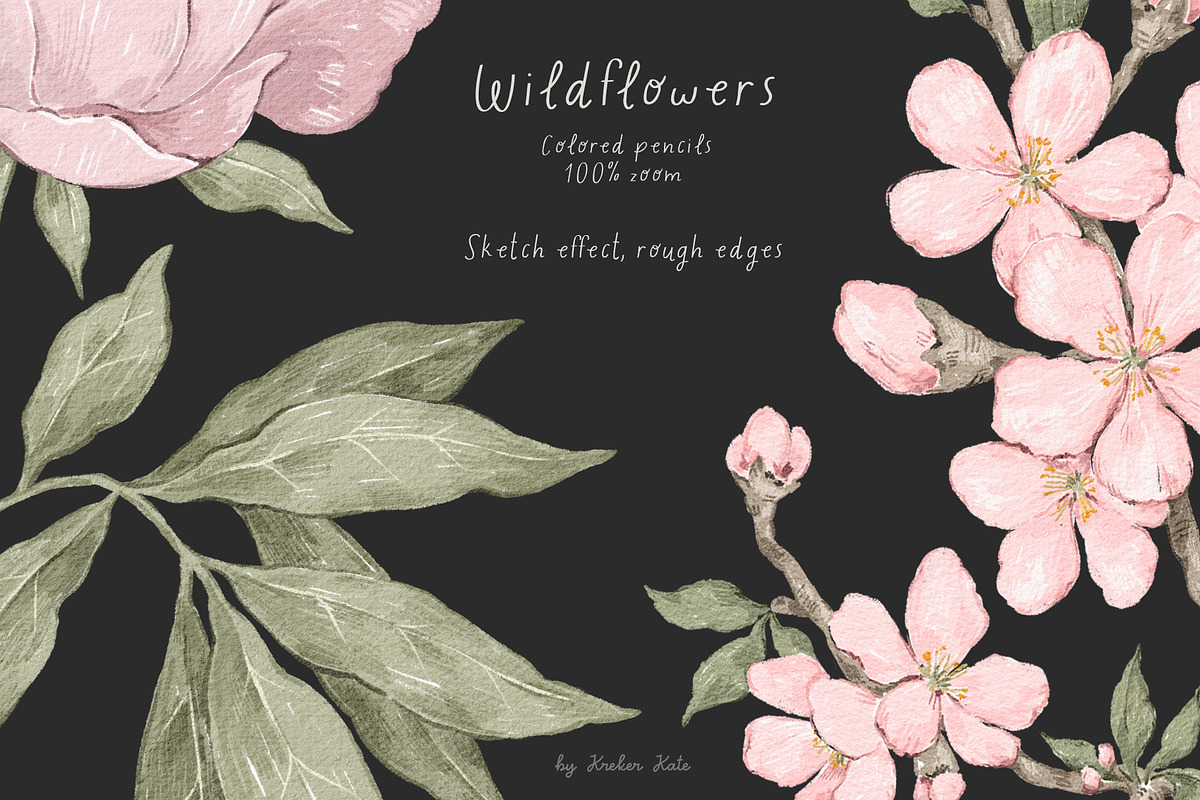 Wildflowers. Hand drawn pencil flora, a Decorative Illustration by Kreker Kate (Photo 9 of 12)