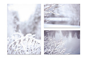 Winter Blurred background, a Nature Photo by WildStrawberry Magic (Thumbnail 7 of 9)