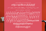 Flesmingo, a Handwritten Font by Integritype Studio (Thumbnail 14 of 15)