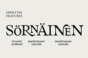 Goldie Old Style Serif Font, a Serif Font by Fenotype (Thumbnail 9 of 14)