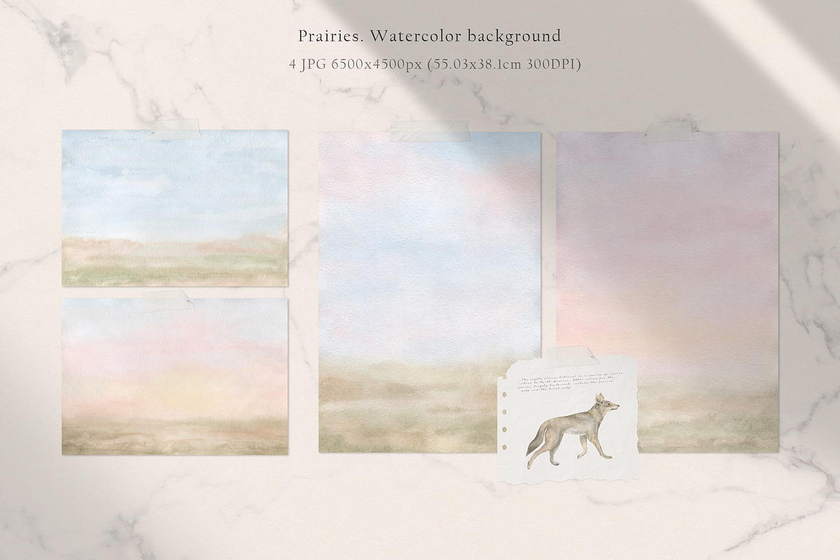 Prairies. American Animals & Nature, an Animal Illustration by Kreker Kate (Photo 11 of 13)