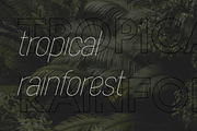 Azora typeface for branding and text, a Sans Serif Font by VP Fonts (Thumbnail 4 of 20)