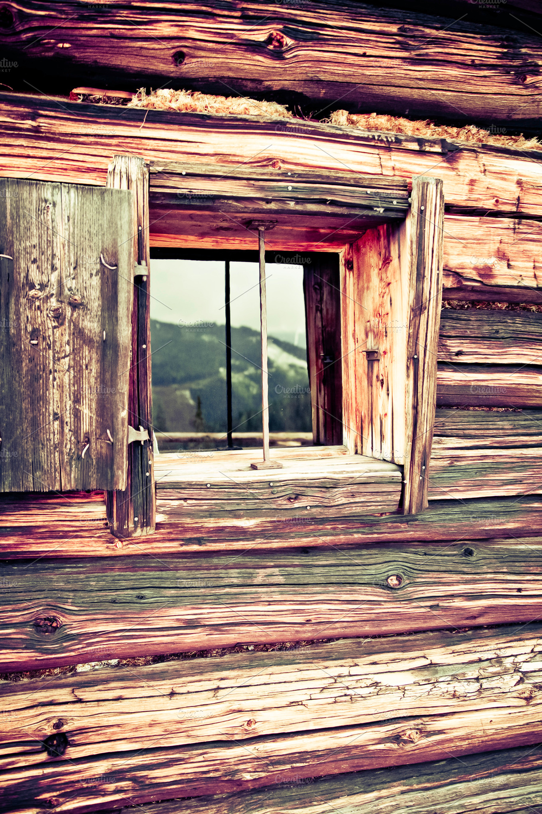 Alpin Chalet