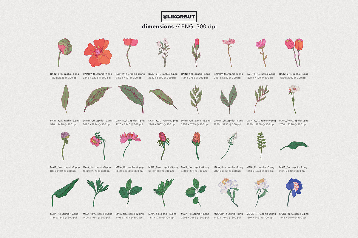 Modern Botanical Floral Illustration, a Decorative Illustration by likorbut (Photo 5 of 9)